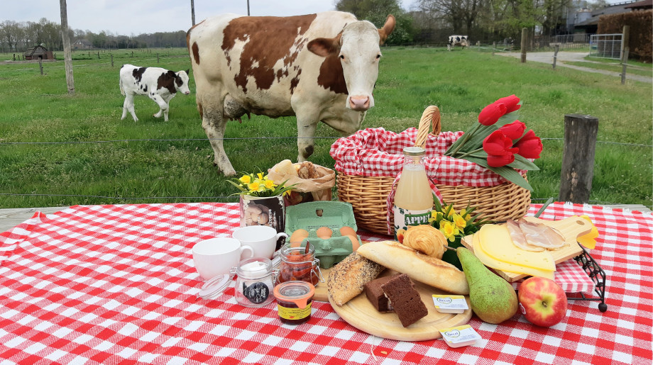 Kaasboerderij de Ruurhoeve Hoogeloon afbeelding 4