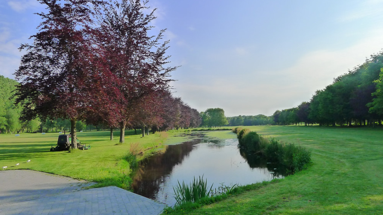 A.E.B.FARM EN SPORTS mol afbeelding 1