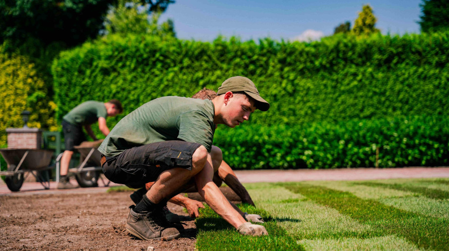 Strijbos Groen Wintelre afbeelding 4