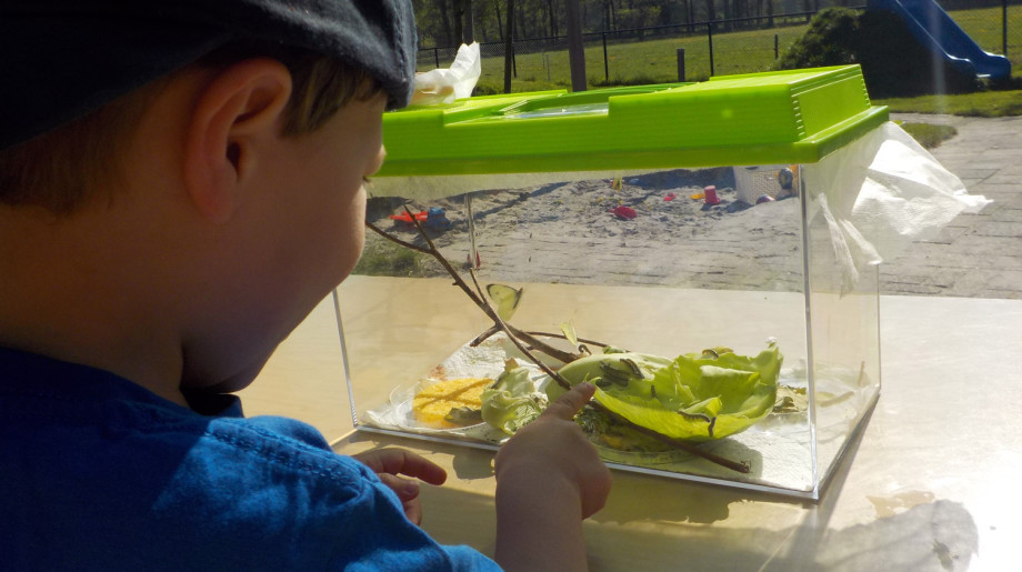 Kinderdagverblijf Wilton's Hof Oostelbeers afbeelding 2