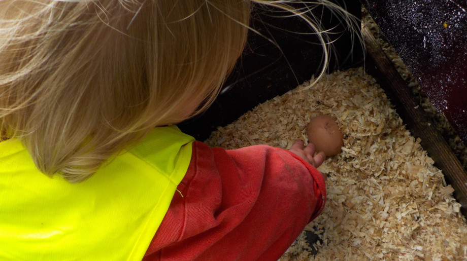 Kinderdagverblijf Wilton's Hof Oostelbeers afbeelding 4