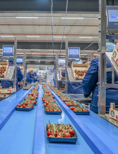 Scherpenhuizen Eindhoven afbeelding 3 Scherpenhuizen Eindhoven afbeelding 3