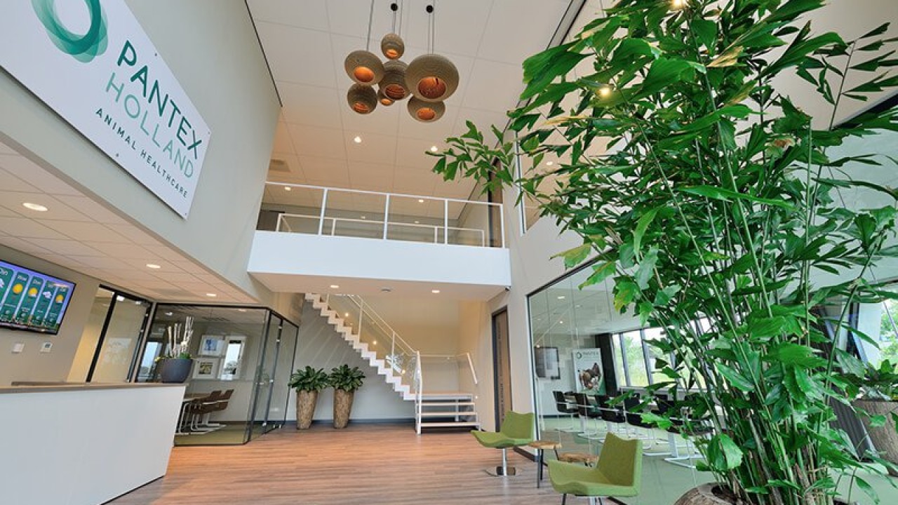 Pantex Holland BV Duizel afbeelding 1