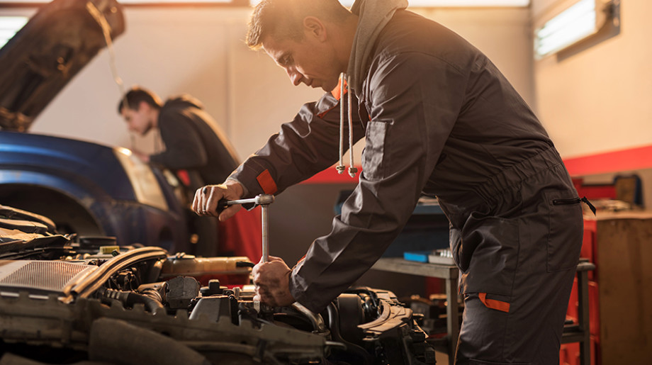 Van Mossel Shared Services B.V. WAALWIJK afbeelding 2