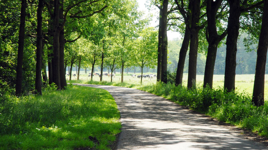 Stichting Ten Vorsel BLADEL afbeelding 4