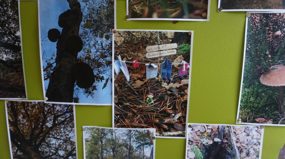  Basisschool de Meent WAALRE afbeelding 2