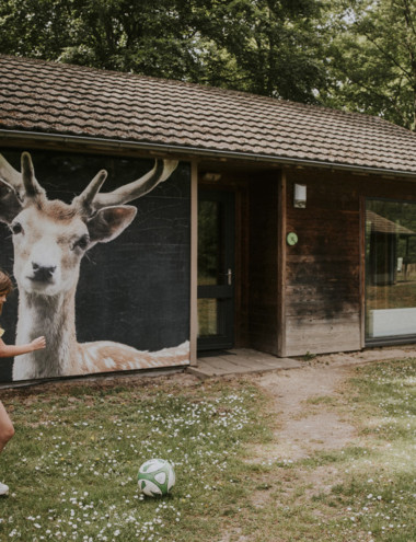 Vakantiepark Dierenbos Vinkel afbeelding 5 Vakantiepark Dierenbos Vinkel afbeelding 5