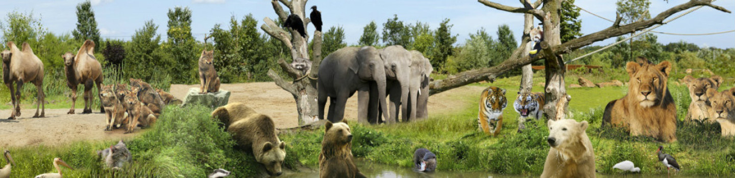Supervisor Horeca - Eindhoven Zoo