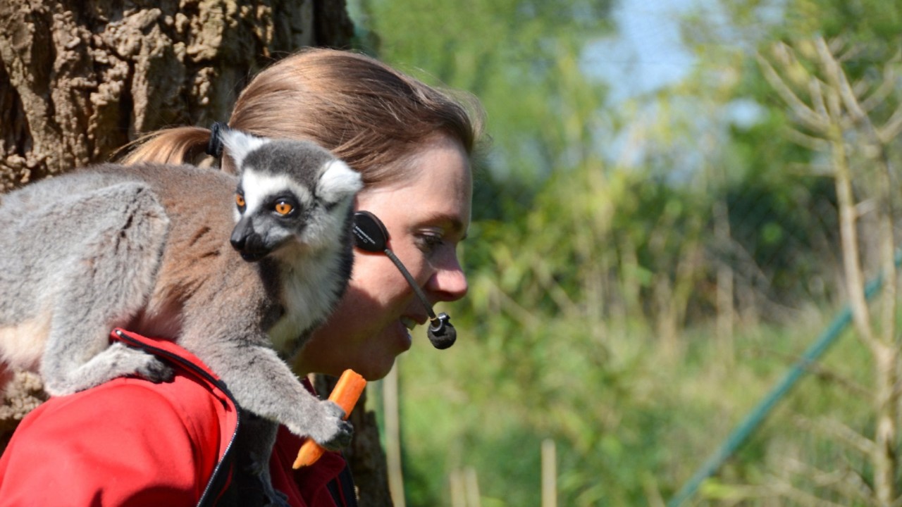 Eindhoven Zoo Mierlo afbeelding 1