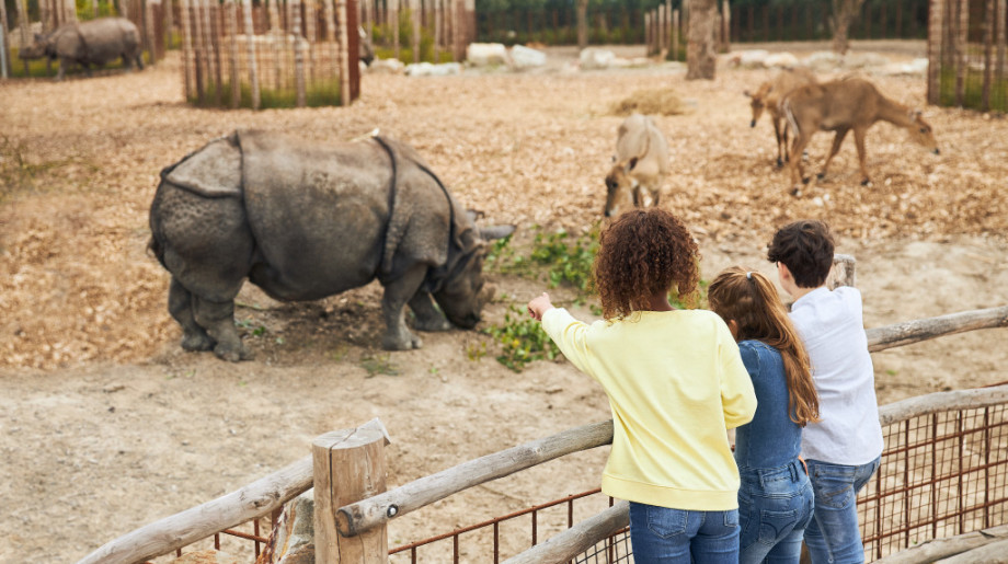 Eindhoven Zoo Mierlo afbeelding 4