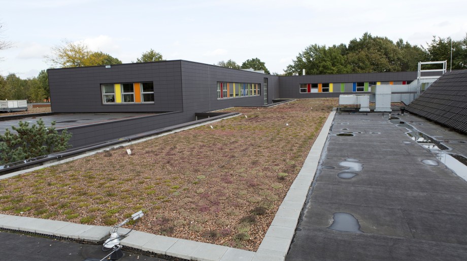 Van Doorn Dakspecialist Veldhoven afbeelding 4