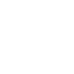 Bearing Design and Manufacturing Bergeijk logo