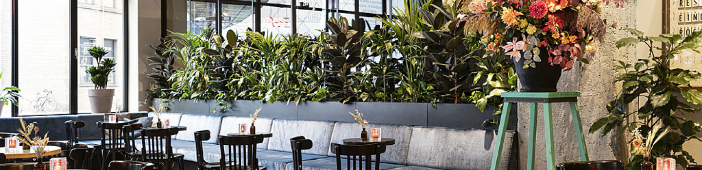 Interieurbeplanting De Klerk B.V.