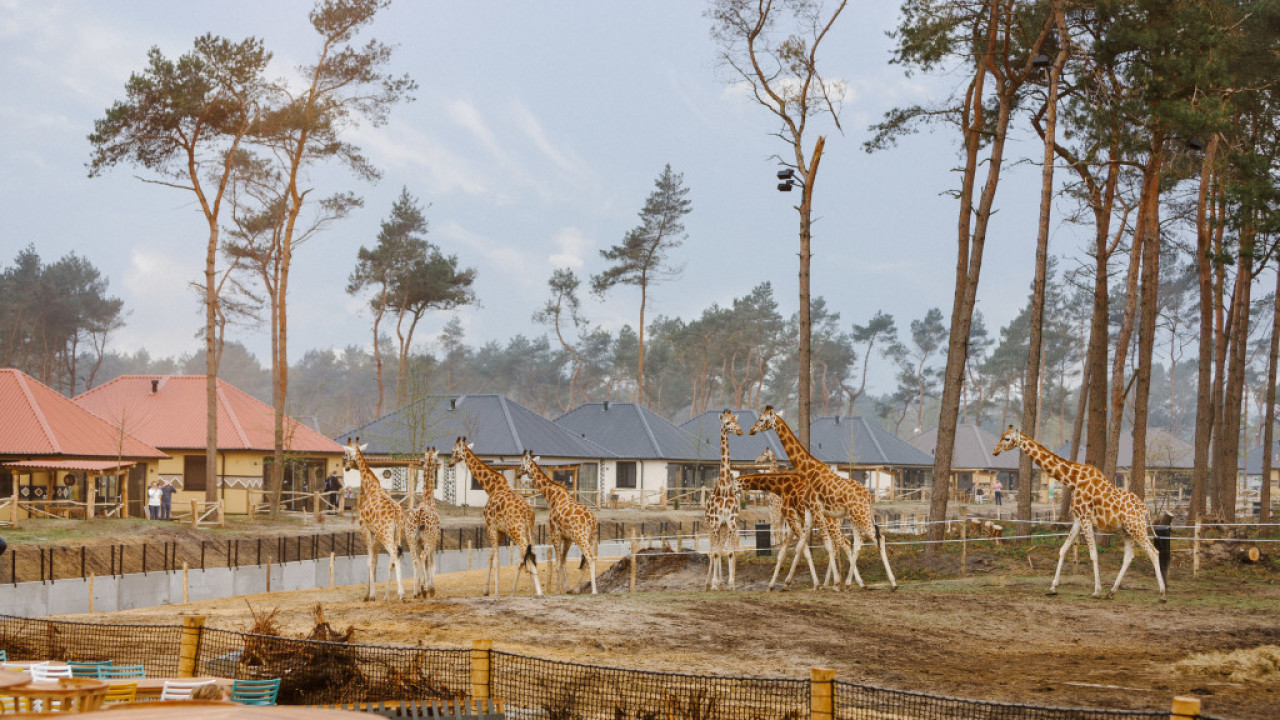 Beekse Bergen Hilvarenbeek afbeelding 1