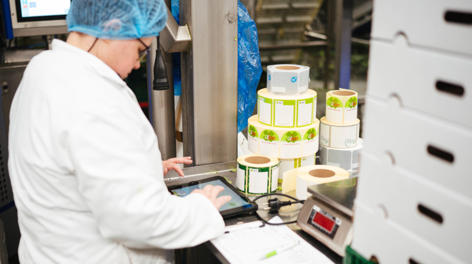 Groentekwekerij Van den Einden B.V. LIEROP afbeelding 4