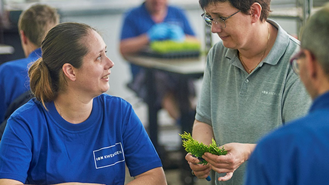 IBN UDEN afbeelding 6 IBN UDEN afbeelding 6