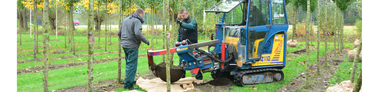 Boomkwekerij Johan van Overbeek