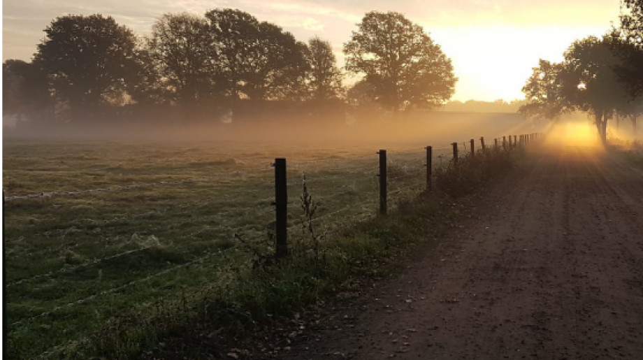 Gemeente Eersel Eersel afbeelding 4
