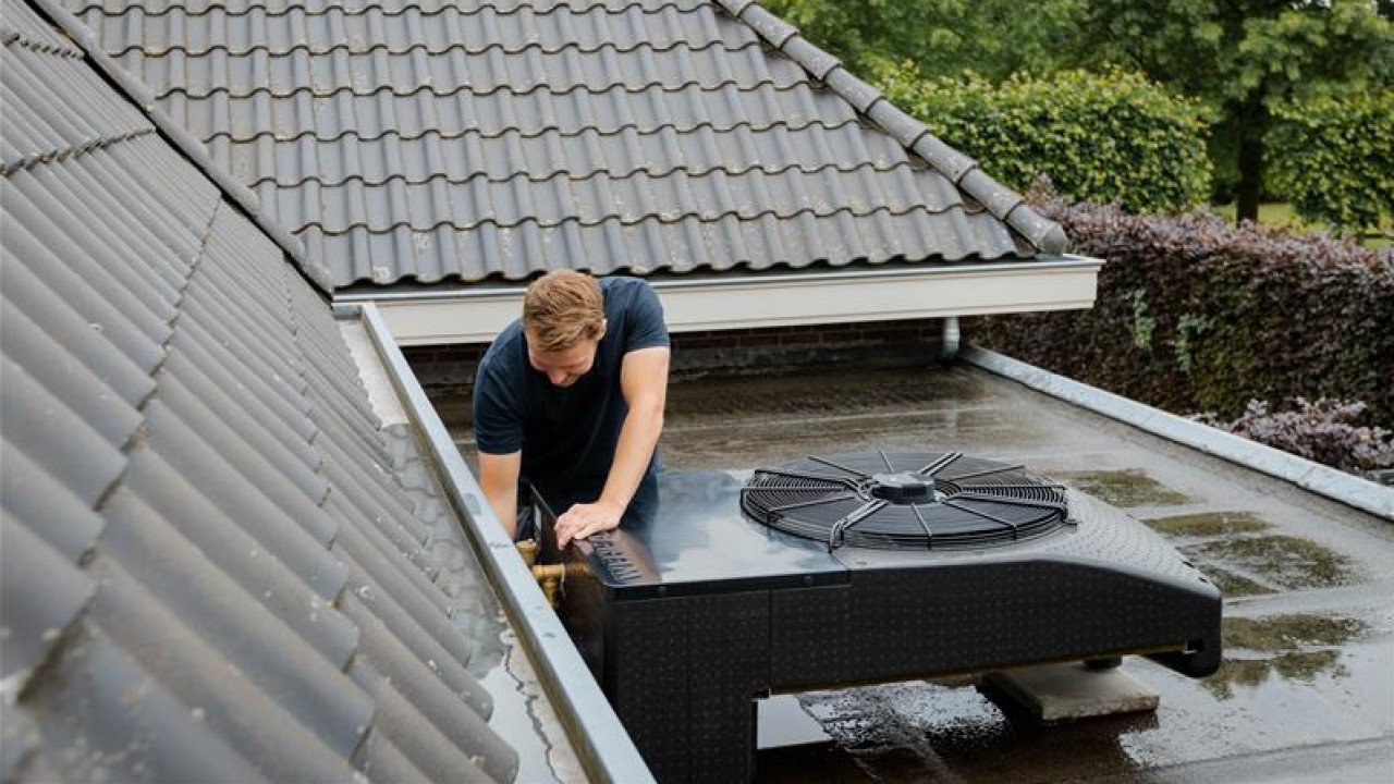 Weheat Duizel afbeelding 2