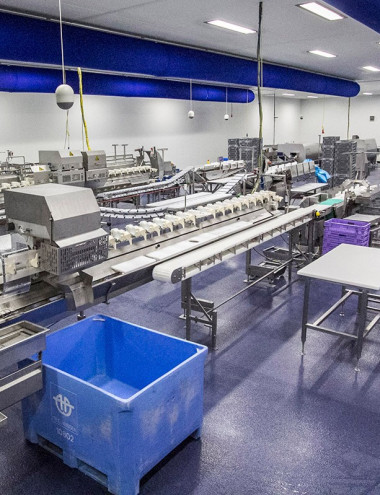 Broviand B.V. SOMEREN afbeelding 3