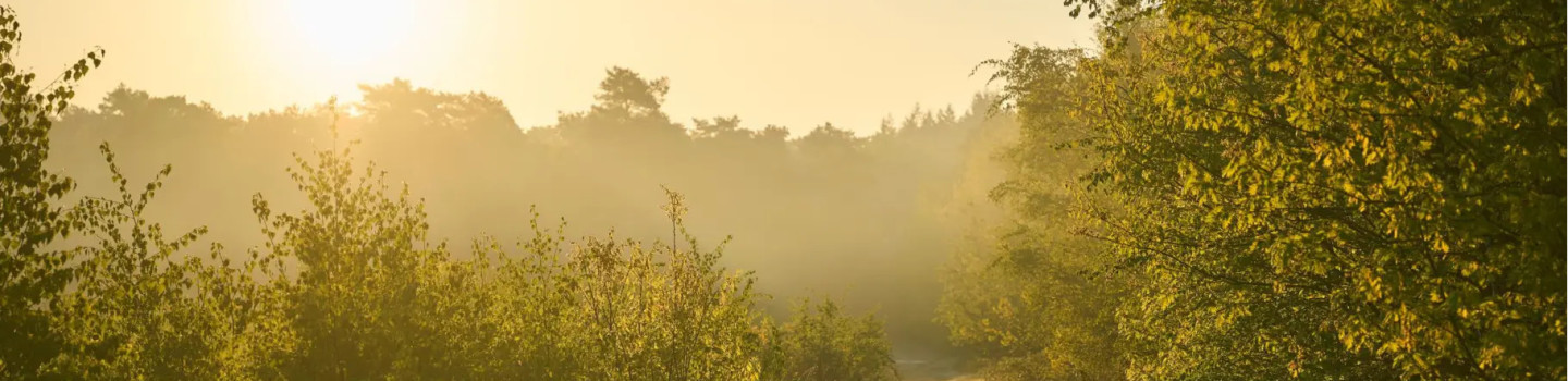 Bureau voor Natuur B.V.