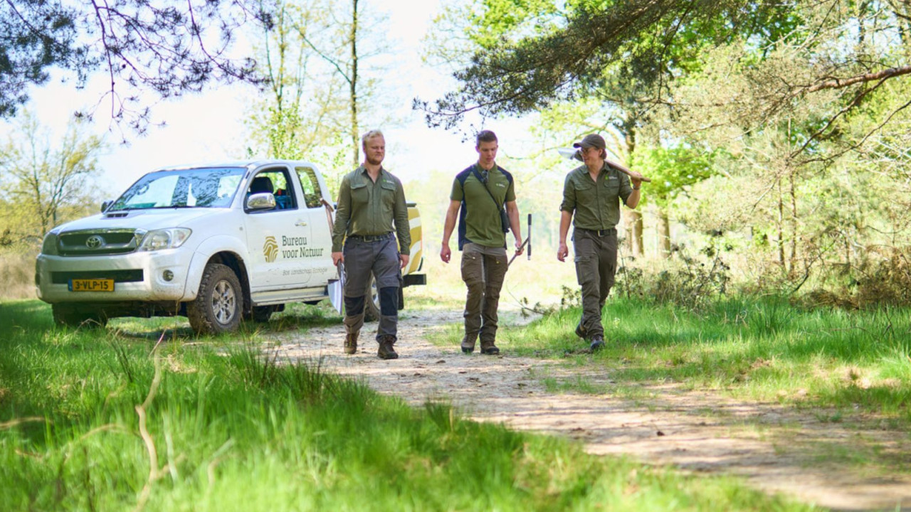 Bureau voor Natuur B.V. Riethoven afbeelding 1