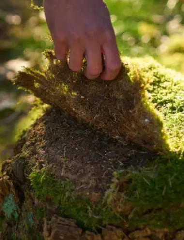 Bureau voor Natuur B.V. Riethoven afbeelding 3