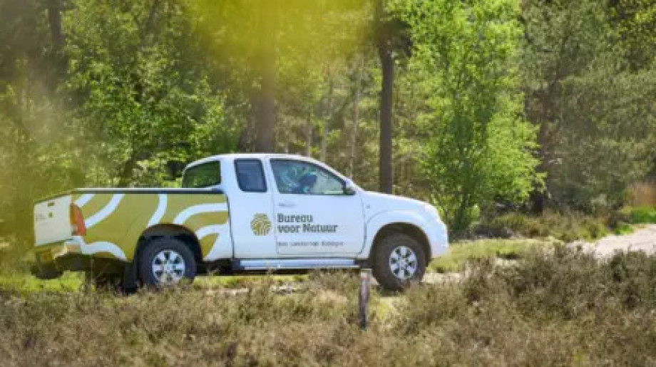 Bureau voor Natuur B.V. Riethoven afbeelding 4