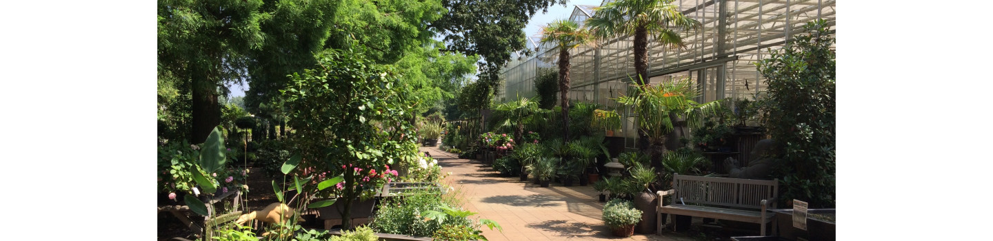 Bedrijfsleider Tuincentrum
