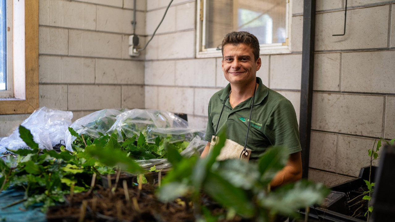 Boomkwekerij De Beerze B.V. Oirschot afbeelding 6