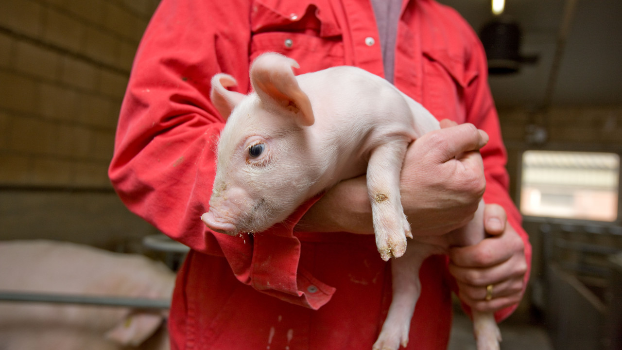 De Hoeve B.V. Valkenswaard afbeelding 1