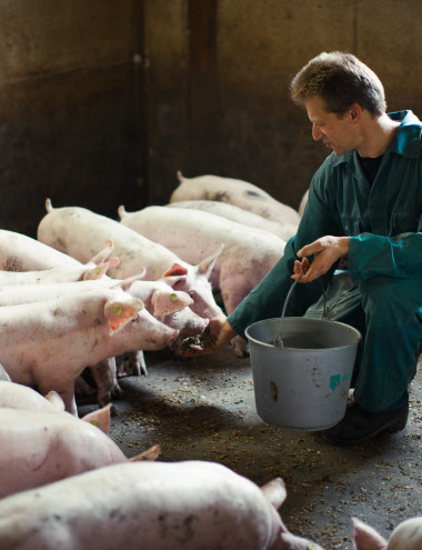 De Hoeve B.V. Valkenswaard afbeelding 5