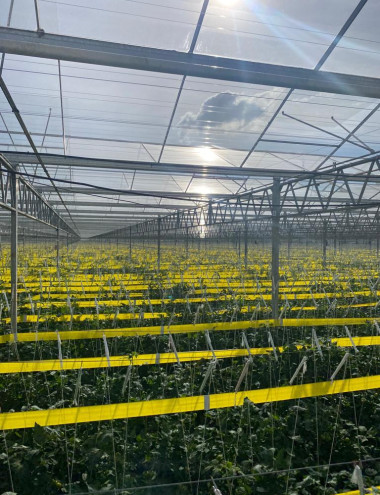 Installatietechniek van Genugten B.V. Mierlo afbeelding 5 Installatietechniek van Genugten B.V. Mierlo afbeelding 5