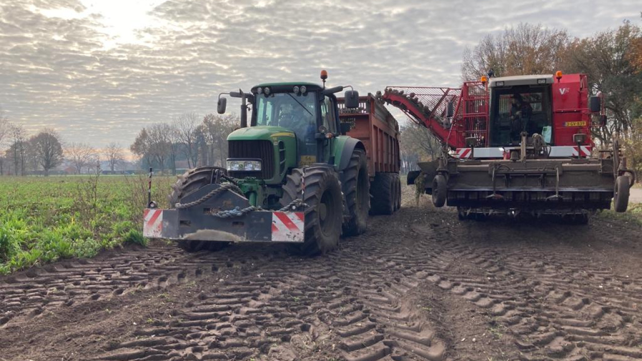 Van Dommelen-van den Borne VOF Hooge mierde afbeelding 6 Van Dommelen-van den Borne VOF Hooge mierde afbeelding 6