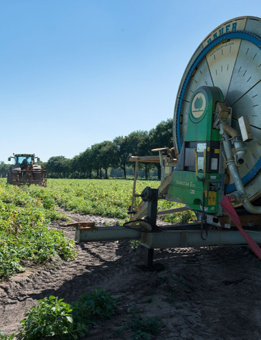 Van Dommelen-van den Borne VOF Hooge mierde afbeelding 3 Van Dommelen-van den Borne VOF Hooge mierde afbeelding 3