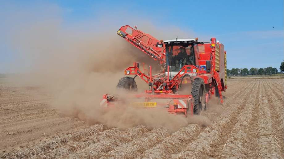 Van Dommelen-van den Borne VOF Hooge mierde afbeelding 4 Van Dommelen-van den Borne VOF Hooge mierde afbeelding 4