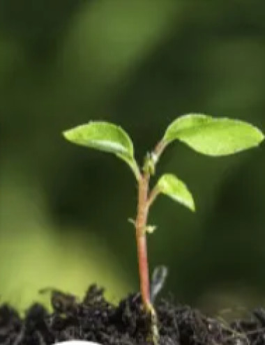 Primasta B.V. Asten afbeelding 5