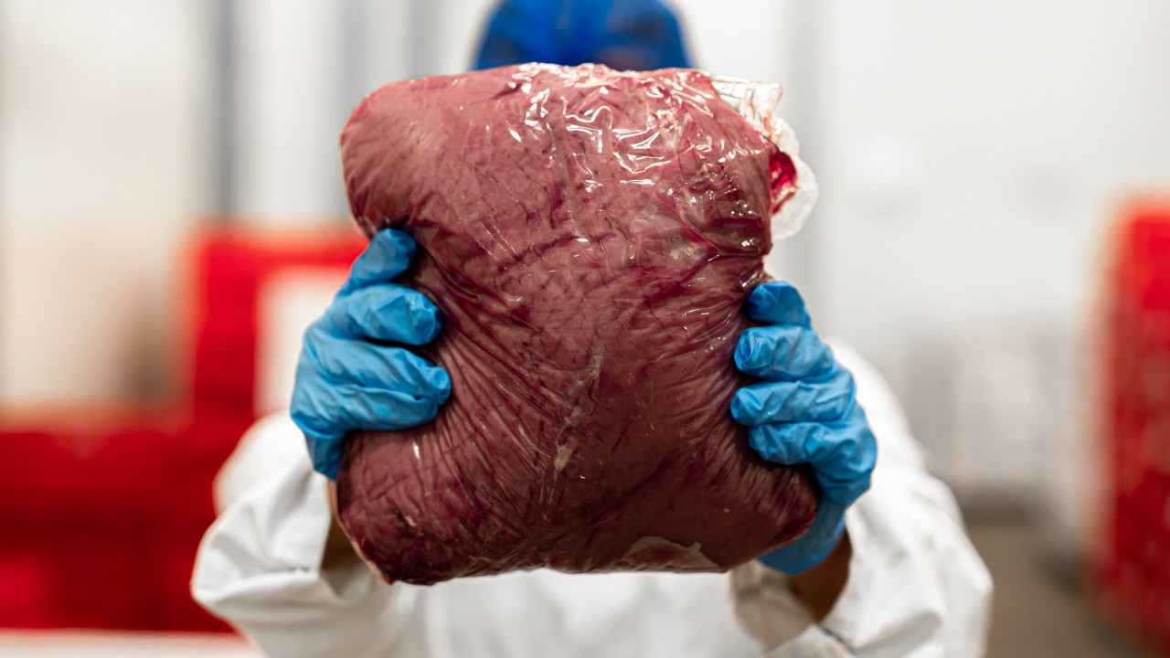 Van Rooi Beef & Veal Someren afbeelding 6