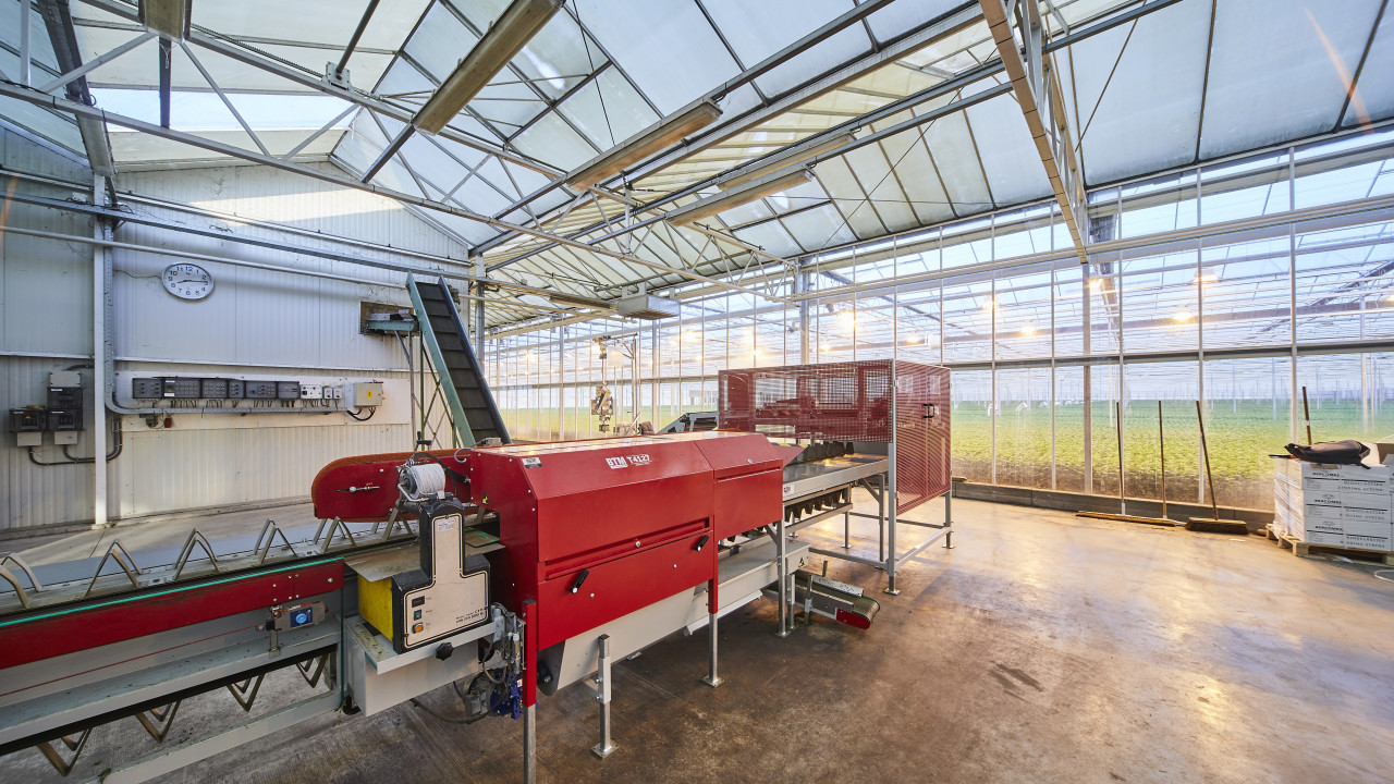 BTM B.V. Bergeijk afbeelding 1