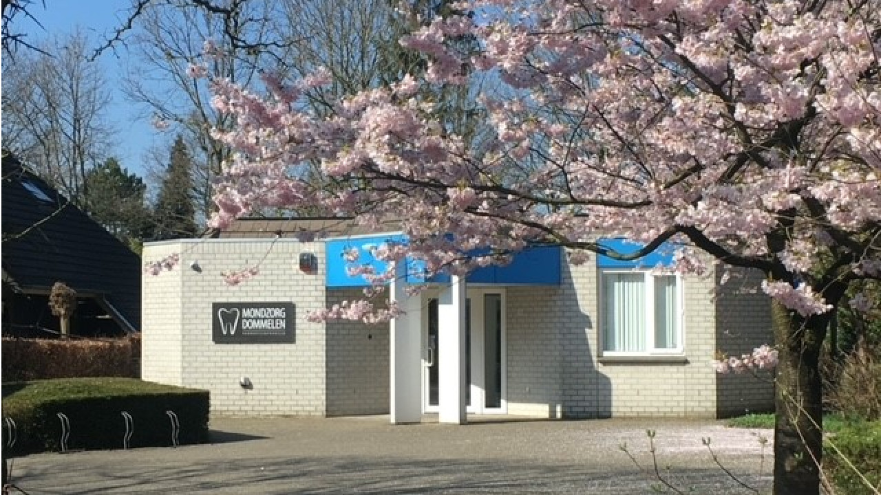 Mondzorg Dommelen B.V. Valkenswaard afbeelding 1