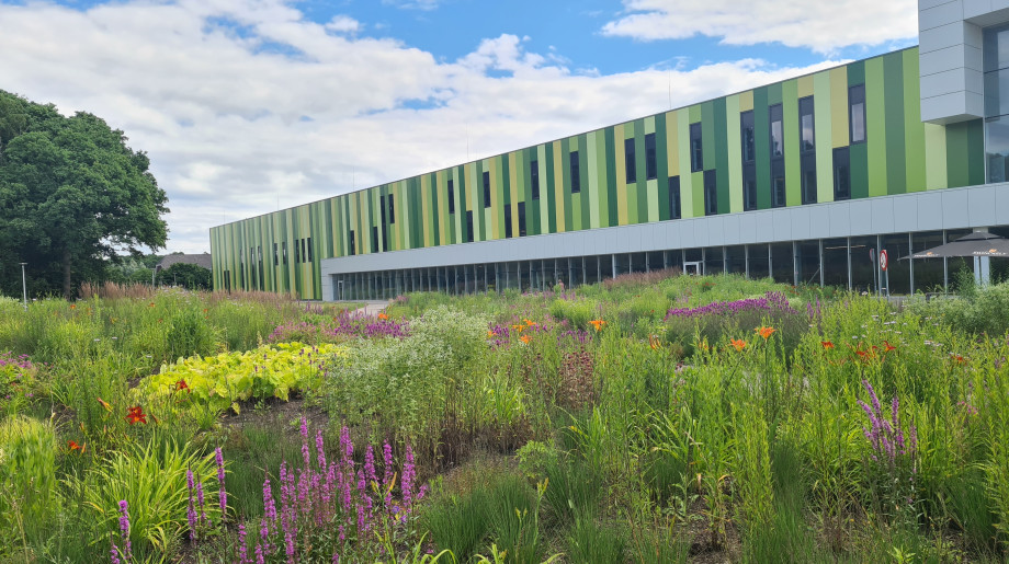 KMWE Eindhoven afbeelding 2