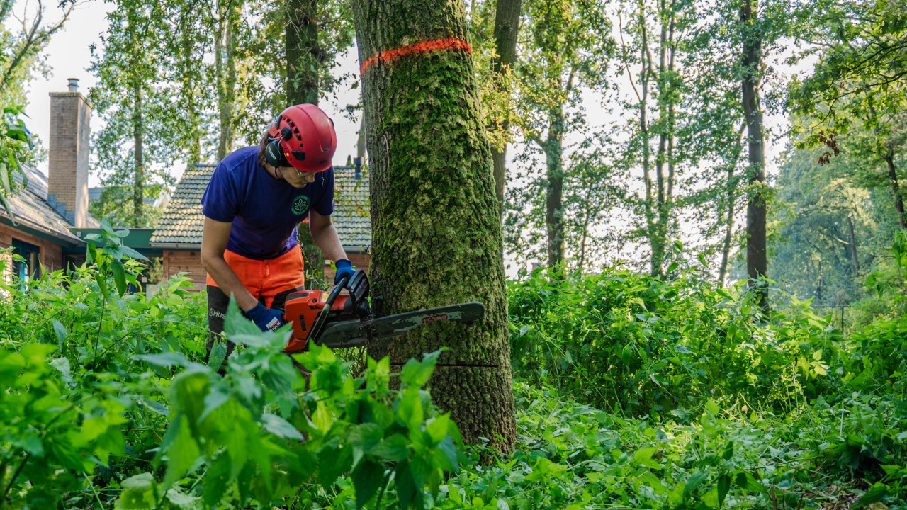 Claassen Boomverzorging en Advies V.O.F. Eersel afbeelding 6