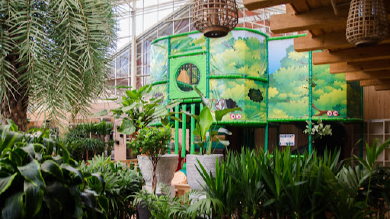 Tuincentrum Coppelmans Veldhoven Veldhoven afbeelding 6