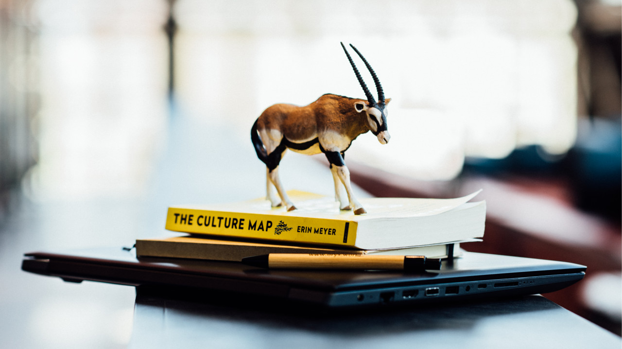 ORYX World B.V. Budel afbeelding 1