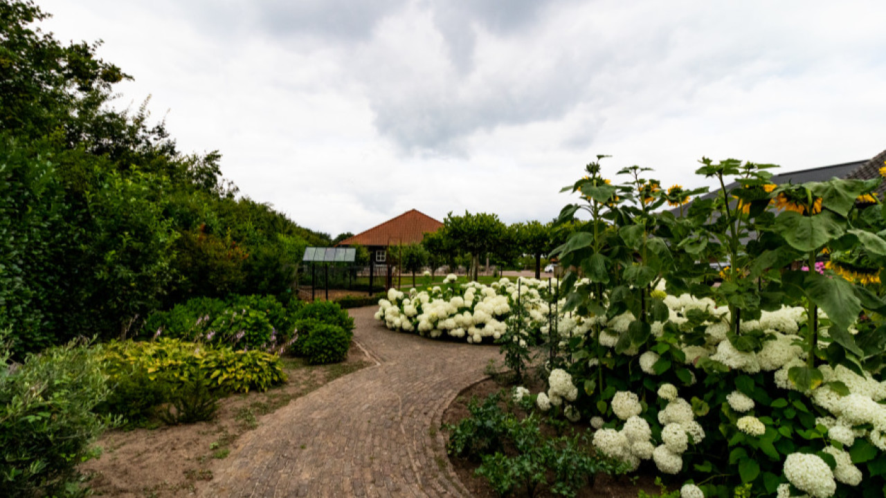 Zorgboerderij Hapert  Hapert afbeelding 1