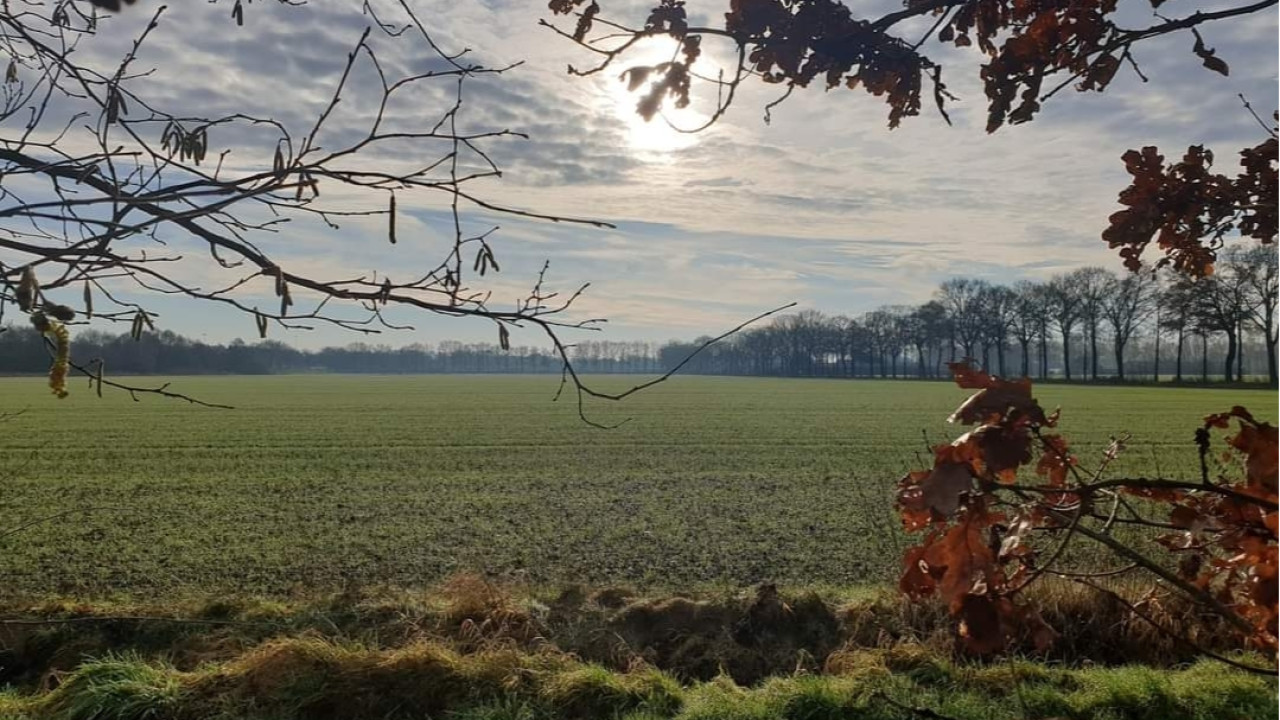 Zorg Boerderij Beverdijcken Bladel afbeelding 1