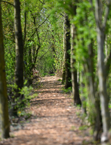 Zorg Boerderij Beverdijcken Bladel afbeelding 5