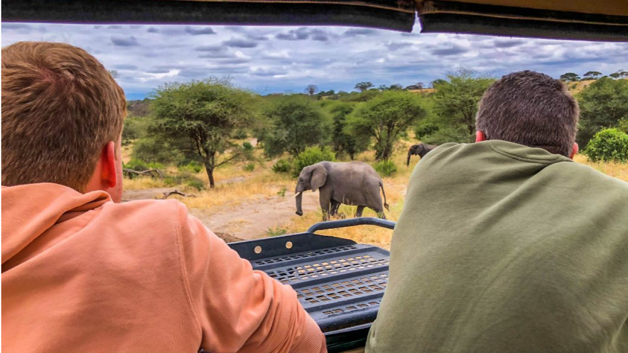 Bright Tanzania Private climbing & safari tours B.V. Valkenswaard afbeelding 1