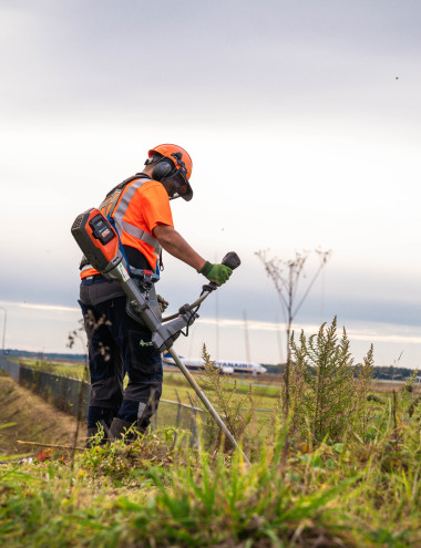 Krinkels Eindhoven afbeelding 3