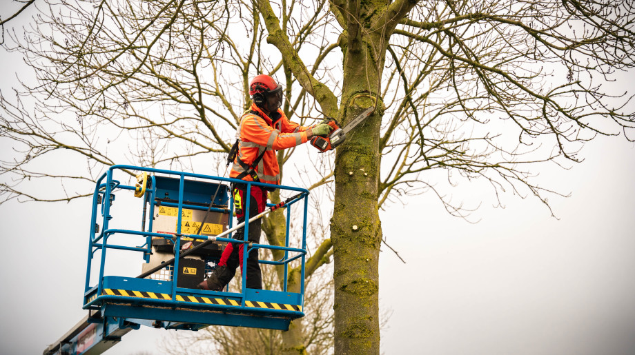 Krinkels Eindhoven afbeelding 4